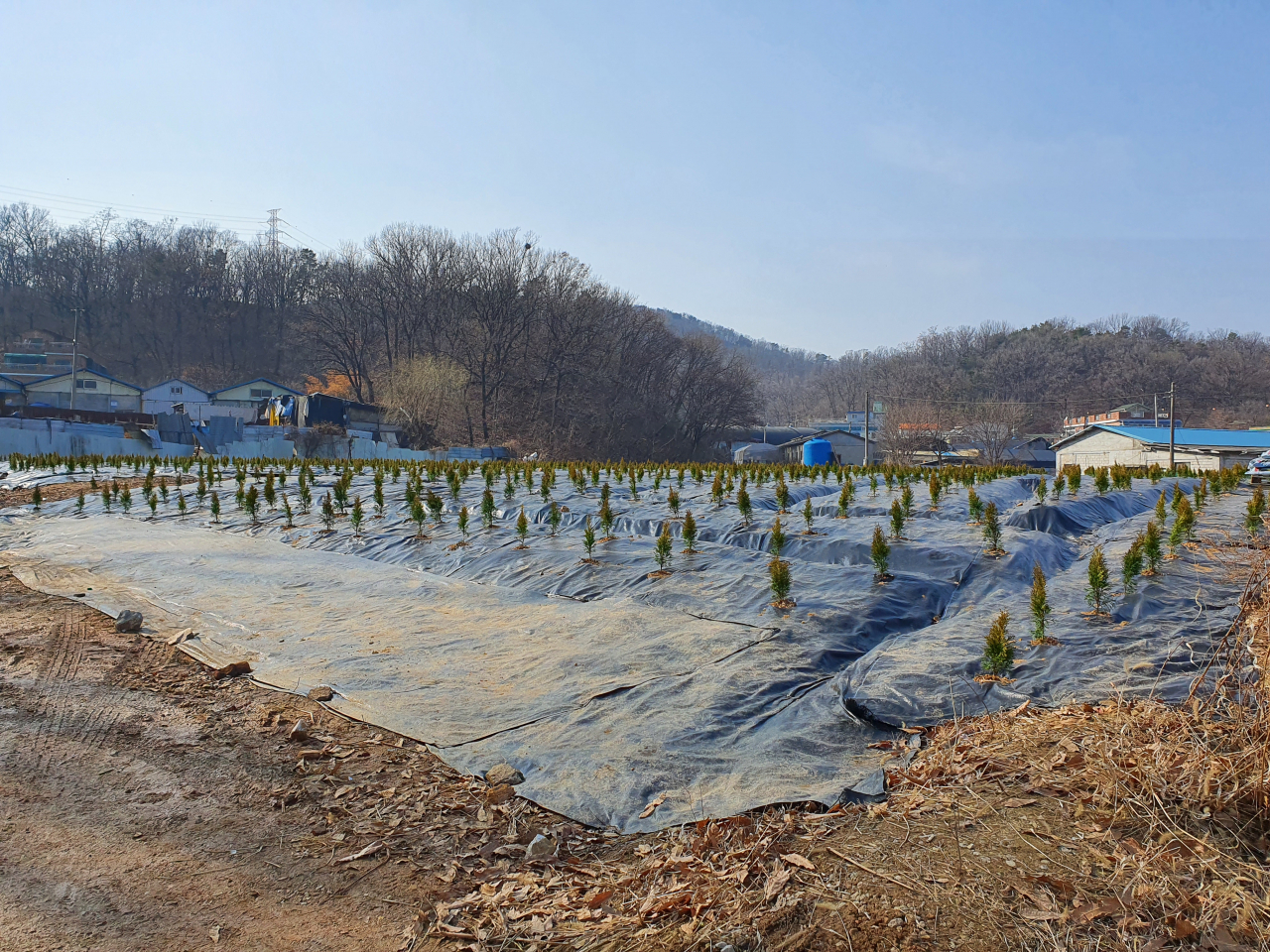 지난 5일 한국토지주택공사(LH) 직원들의 투기 의혹이 일고 있는 경기 시흥시 과림동 일대 토지 모습. 김지헌 기자/raw@heraldcorp.com