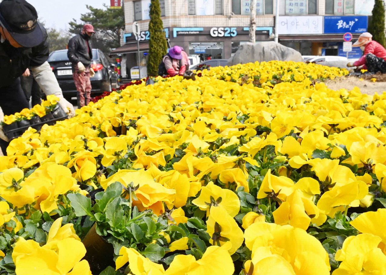 남수원중학교 앞 교통섬[수원시 제공]