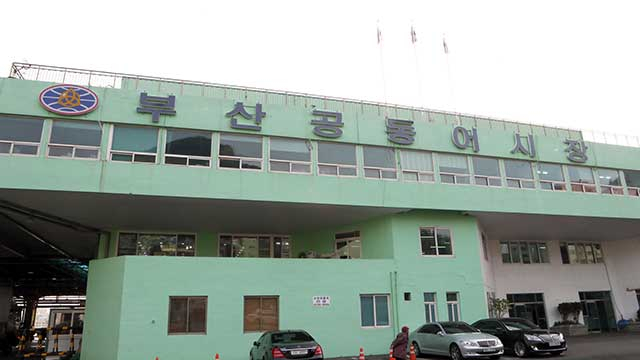 코로나19 집단감염이 발생한 부산공동어시장 [연합뉴스 제공]