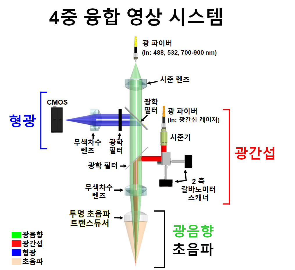 레이저와 투명 초음파 트랜스듀서를 동축으로 결합하여 개발한 4중 융합 영상 시스템의 모식도. 1) 초음파 영상, 2) 광음향 영상, 3) 광간섭 영상, 4) 형광 영상. [포스텍 제공]