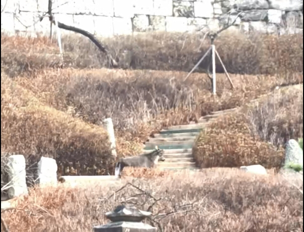 [연합]