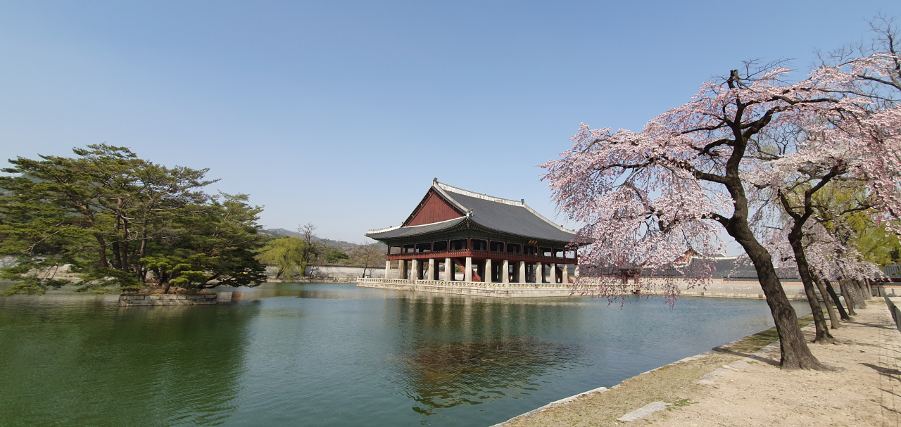 경복궁 경회루의 봄