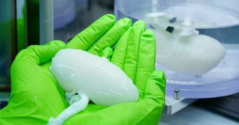 로킷헬스케어 장기재생 탈세포 재세포 특수장비. [로킷 제공]