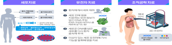재생의료기술 개념도.[과기정통부 제공]