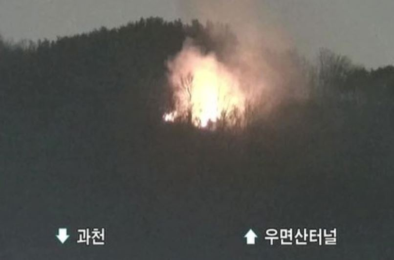 [산림청]