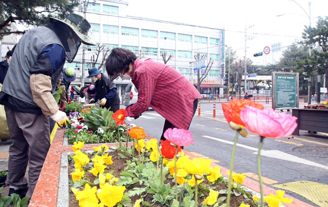 동작구가 청사 주변에 꽃을 식재해 주민들에게 봄기운을 전하고 있다. [동작구 제공]