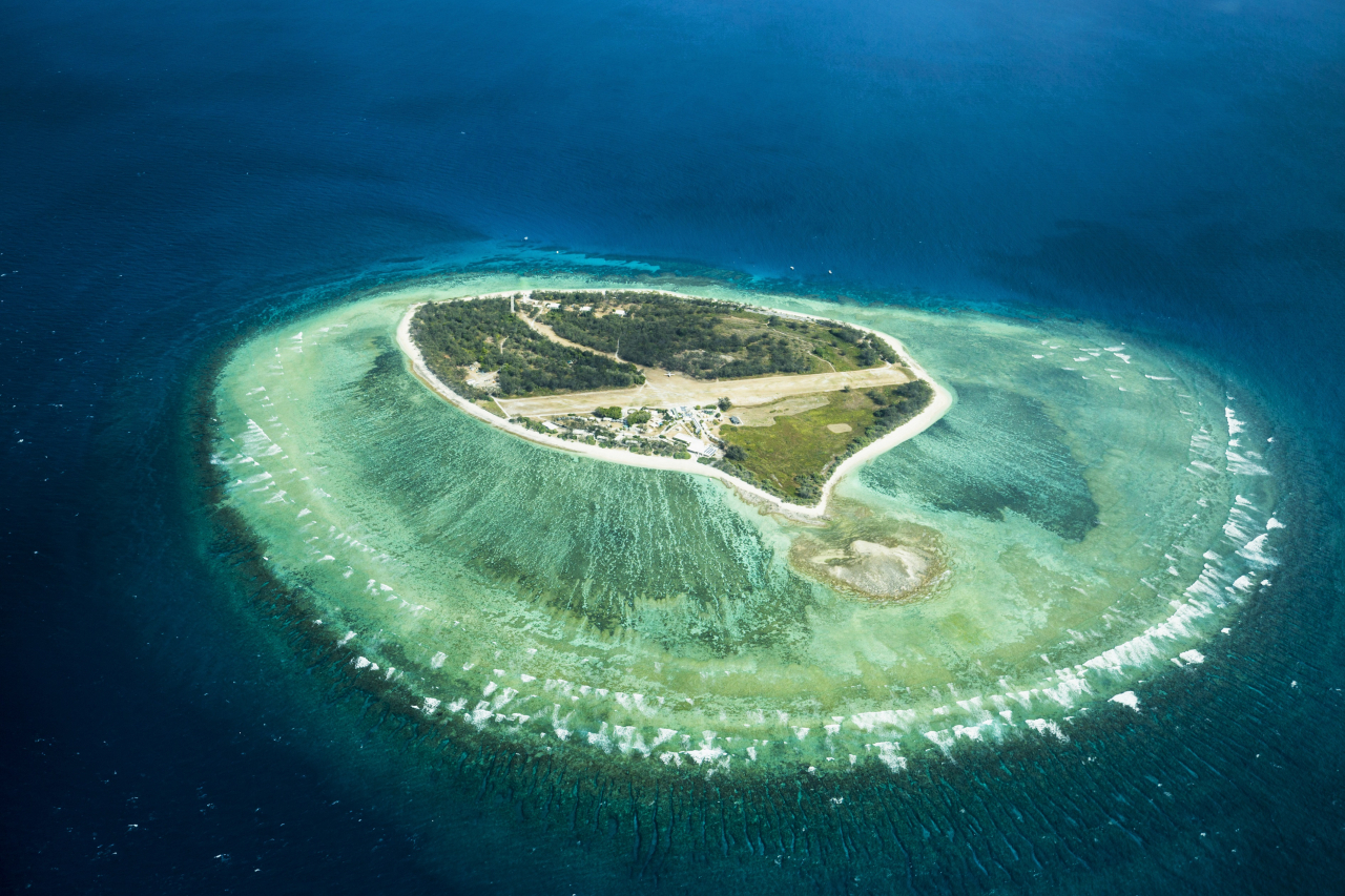 호주 퀸즈랜드주 레이디 엘리옷 아일랜드(Lady Elliot Island)