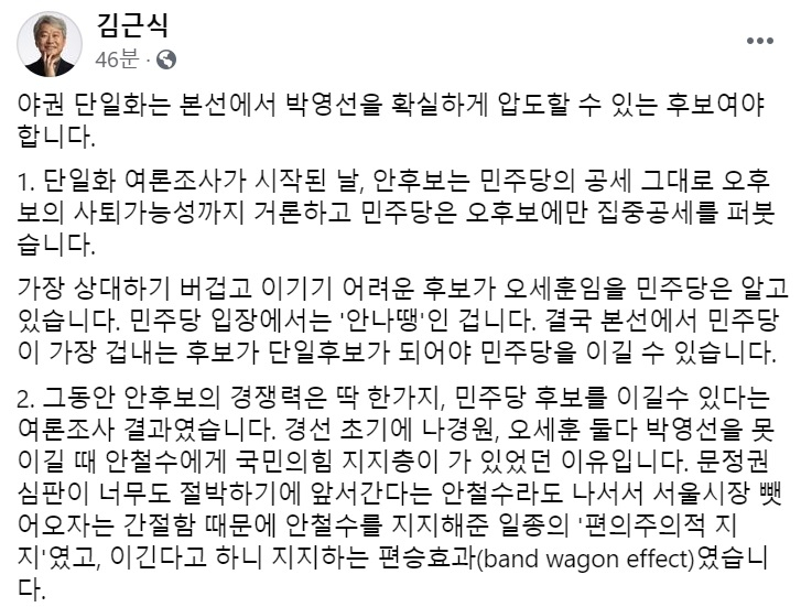 김근식 국민의힘 비전전략실장 페이스북 일부 캡처.