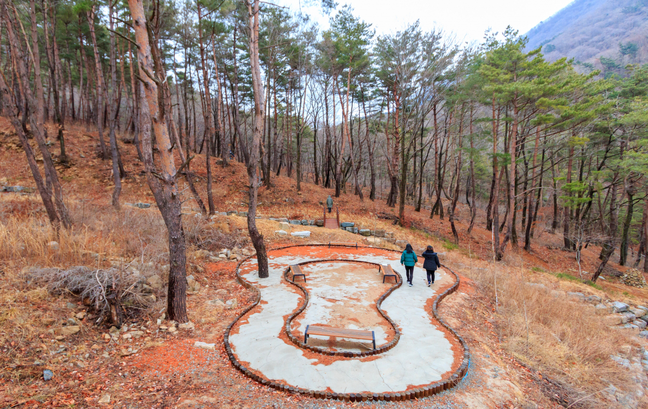합천 오도산자연휴양림 치유의 숲