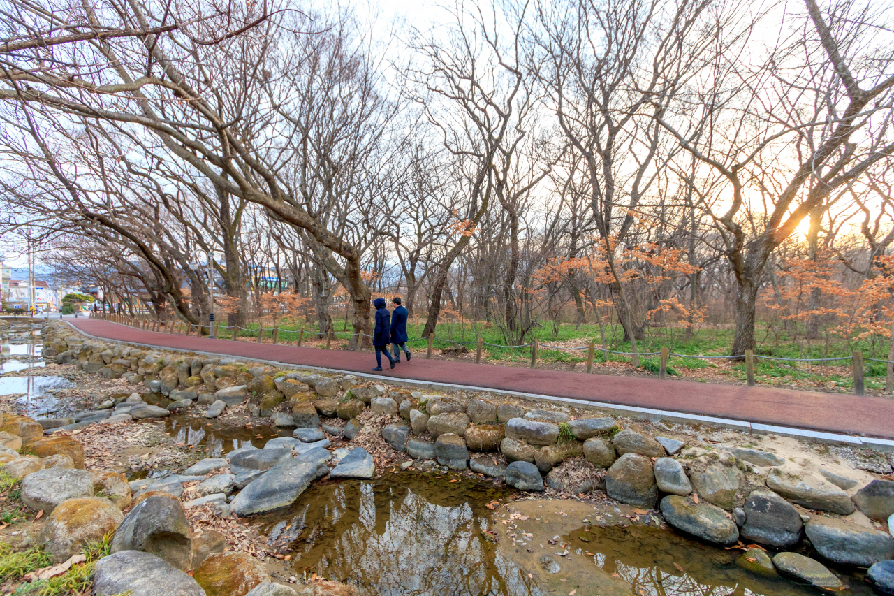 함양 상림공원 [지앤씨이십일(대표 전계욱), 정백호 작가 제공]