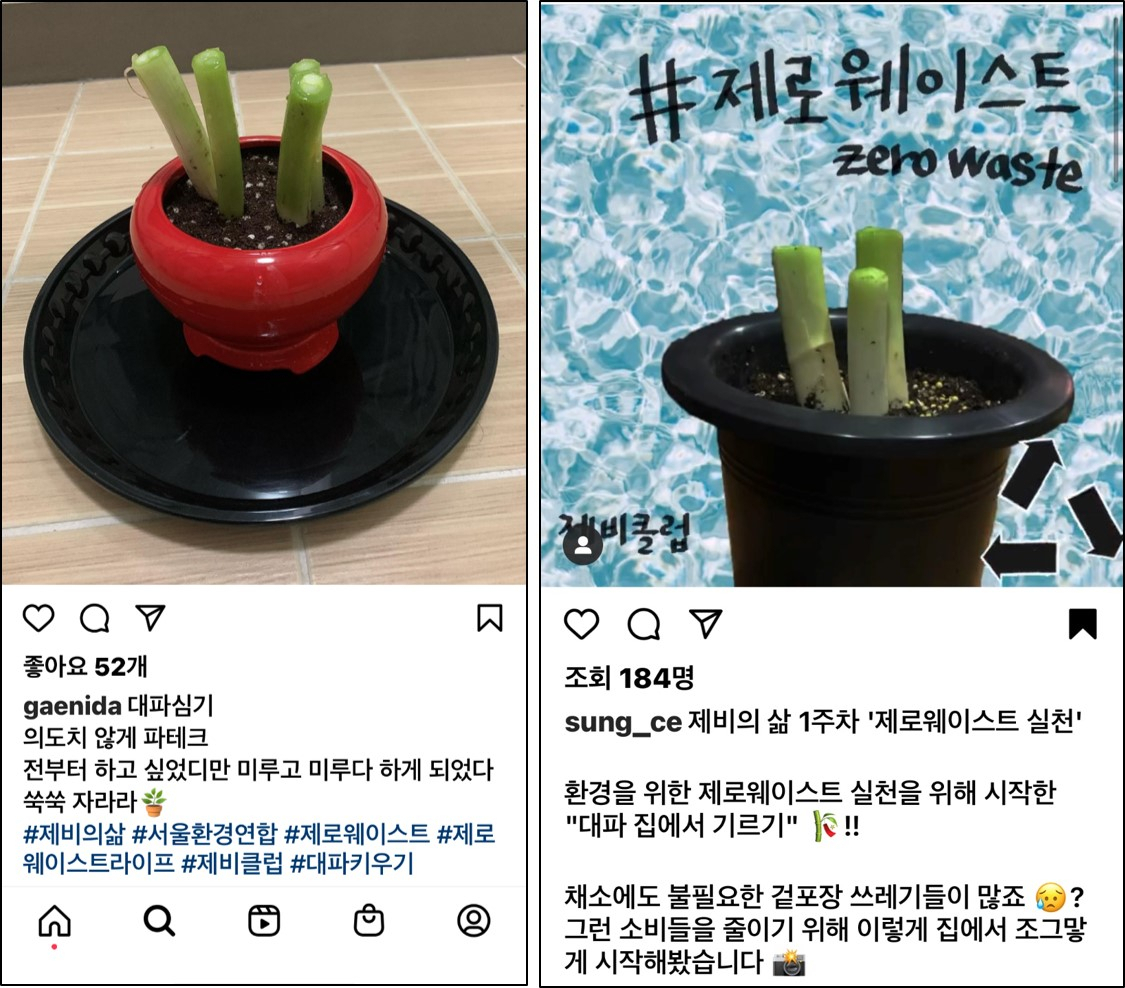 '파 테크'(파+재테크)로 제로웨이스트·비건 운동에 나선 모습. [출처=인스타그램]