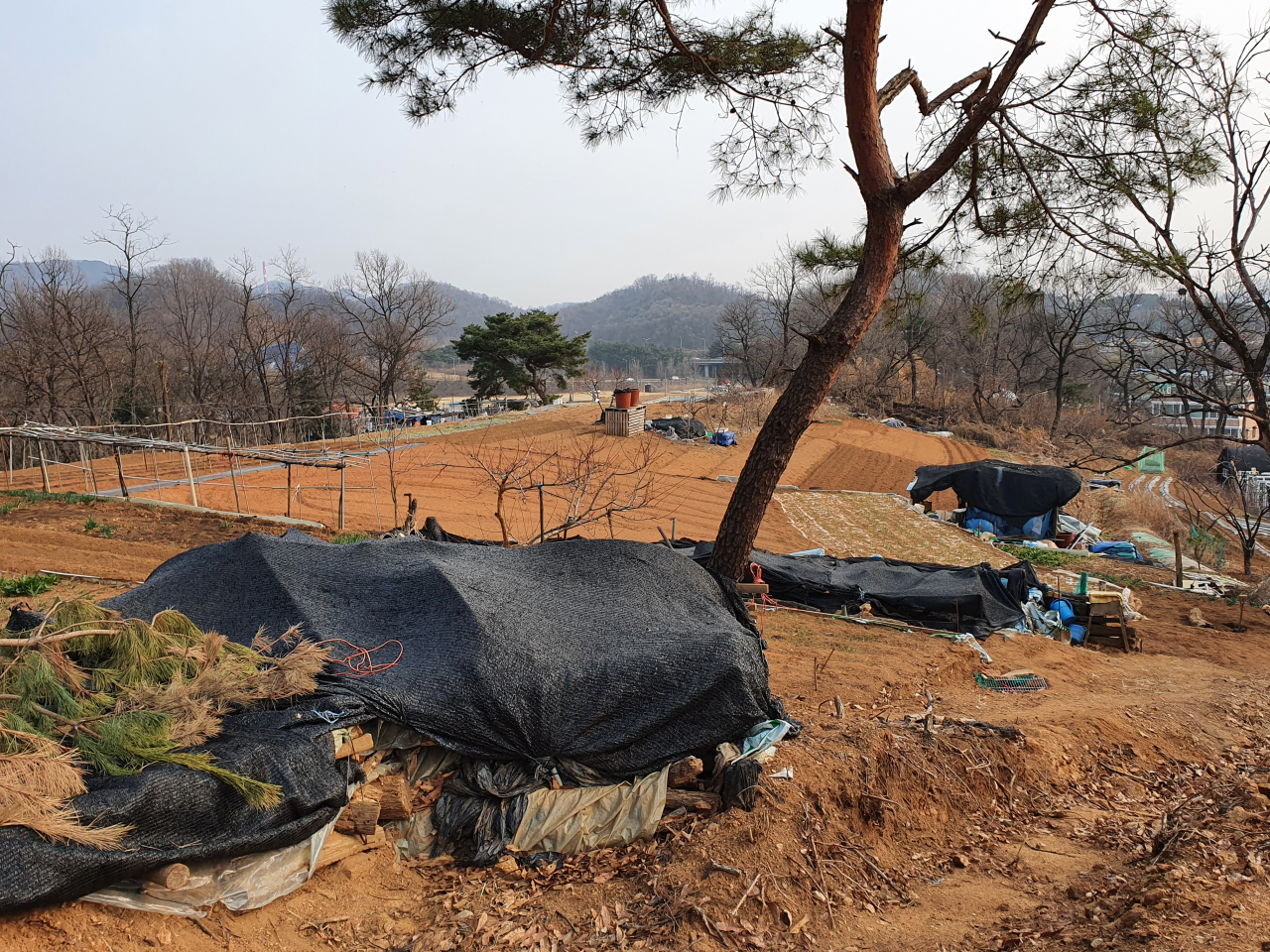 한국토지주택공사(LH) 현 직원 B씨가 자신의 부인 한모 씨와 매입한 경기 광명시 노온사동 임야의 모습. 김지헌 기자/raw@heraldcorp.com