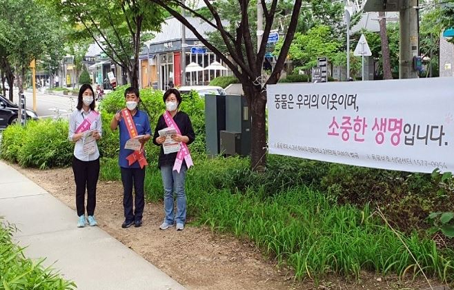 동물보호 캠페인 모습. [마포구 제공]