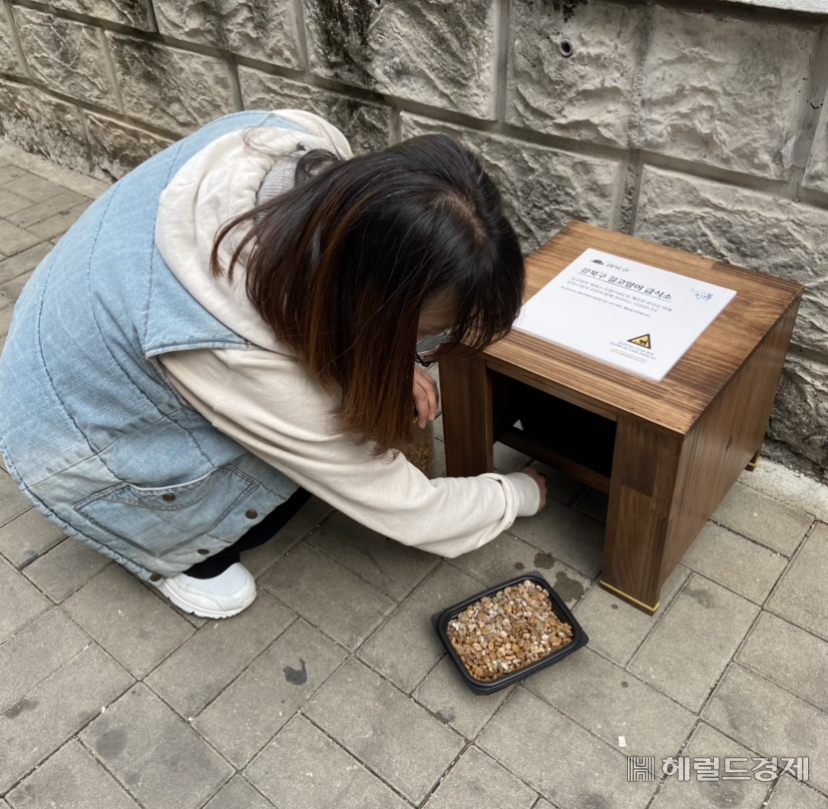 캣맘이 길고양이 급식소에 사료를 넣고 있다. [강북구 제공]