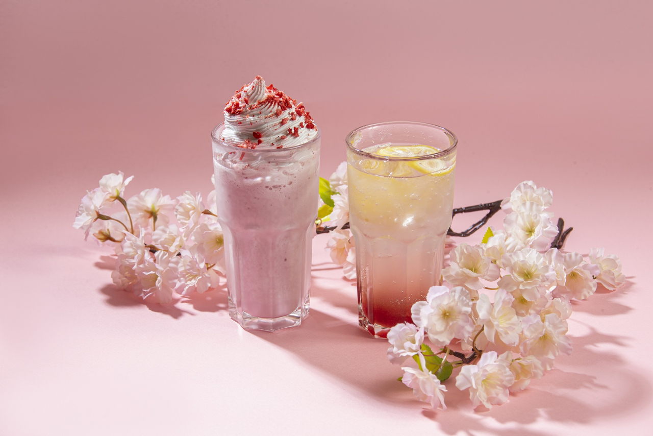 라한호텔 벚꽃산책 프로모션