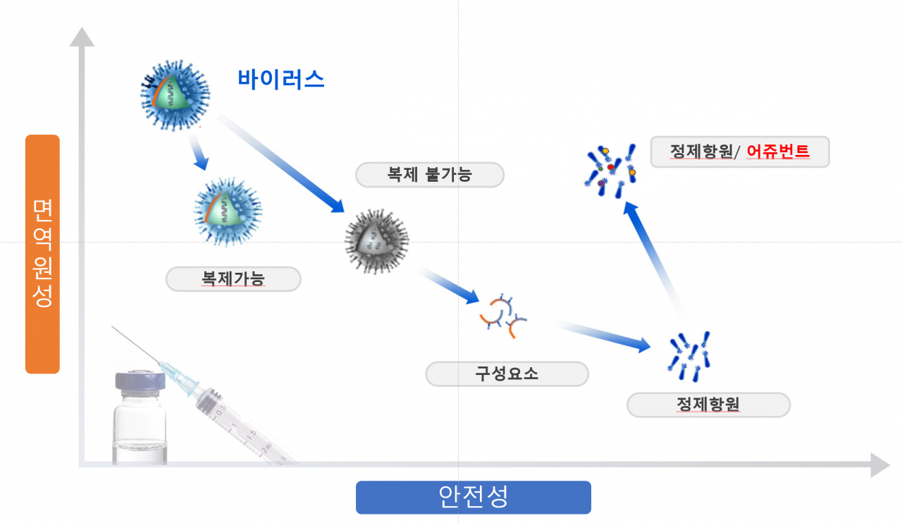 백신 어쥬번트 효능과 안전성.[한국화학연구원 제공]