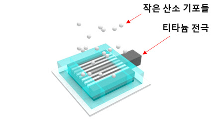 양친매성 티타늄 전극에서 산소 기포들이 빠져나가는 모습.[KIST 제공]