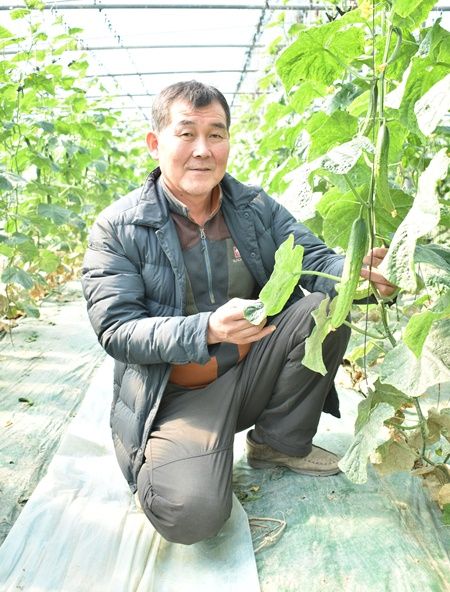 순천에서 유기농 오이를 재배하는 김태현씨.