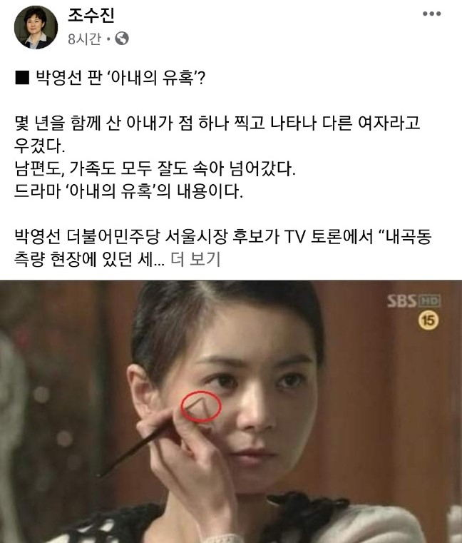 [조수진 대변인 페이스북]