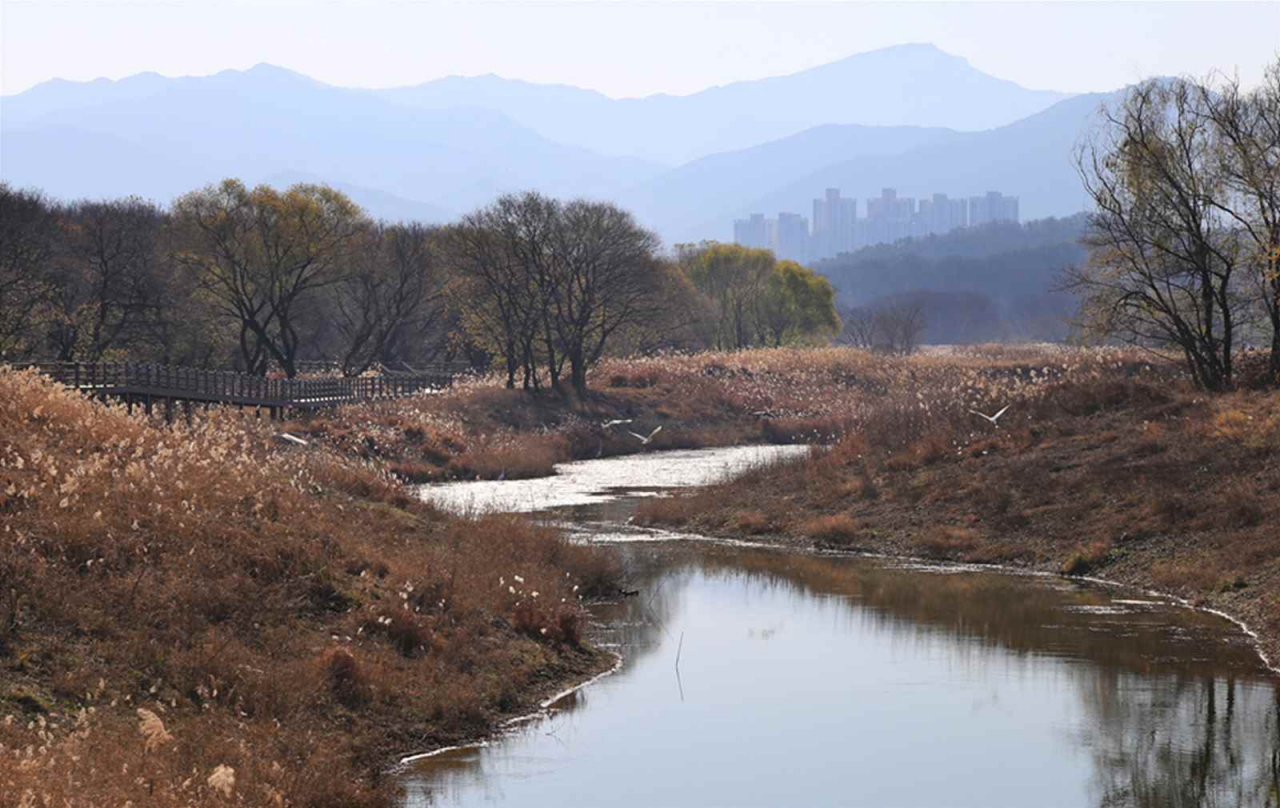 대구 달성습지 모습.[대구시 제공]