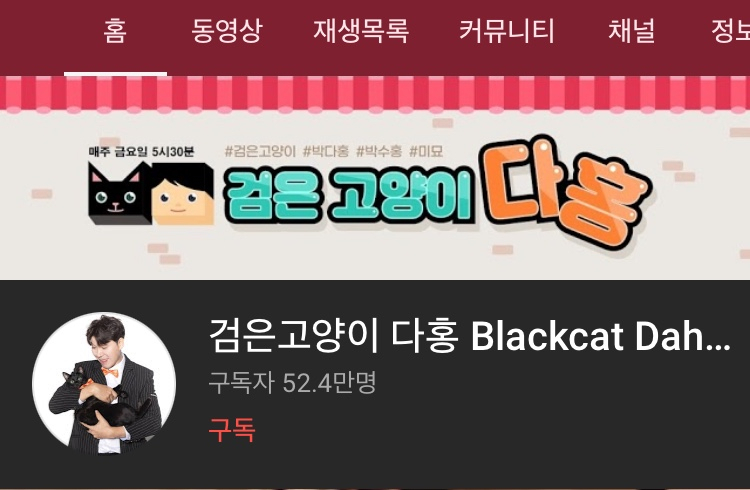 [검은고양이 다홍 채널 캡처]