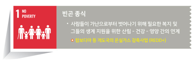REDD+ 인포그래픽