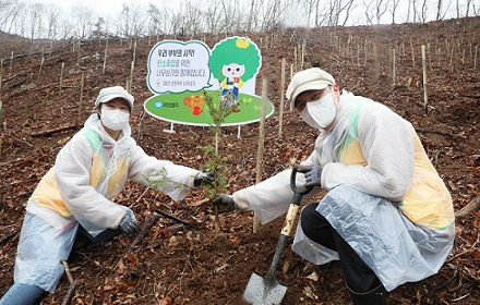 경기 용인시 처인구으 소재 석포숲에서 지난 3일 열린 '신혼부부 나무심기' 행사에서 한 부부가 나무를 심고 있다. [유한킴벌리 제공]