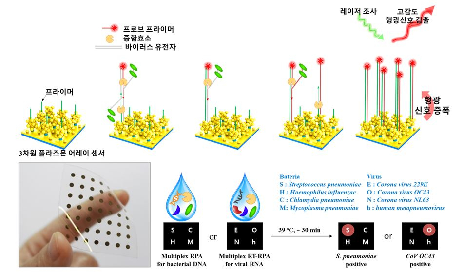 다종 유전자 진단 어레이 센서 및 신속 등온 PCR 기술.[한국재료연구원 제공]