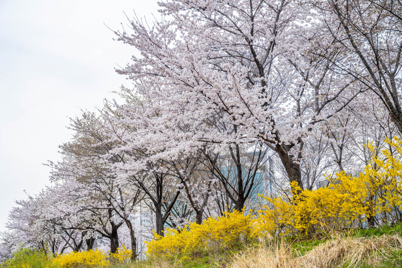 성내천