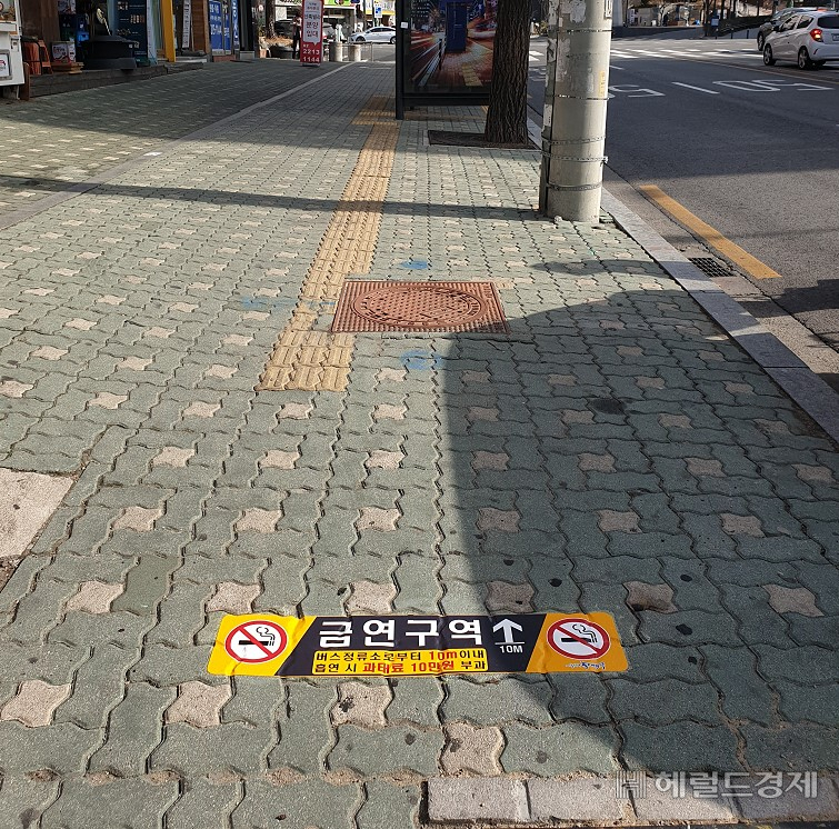 서울시립대 인근 버스정류소 노면에 표시된 금연구역 안내 표시. [동대문구 제공]