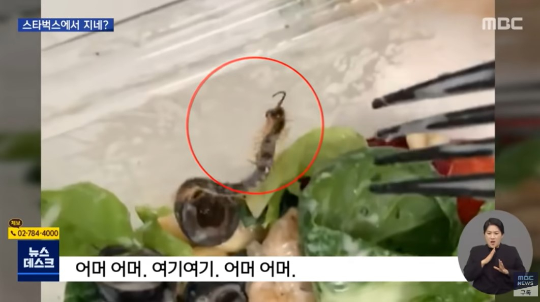 [MBC '뉴스데스크' 방송화면 캡처]