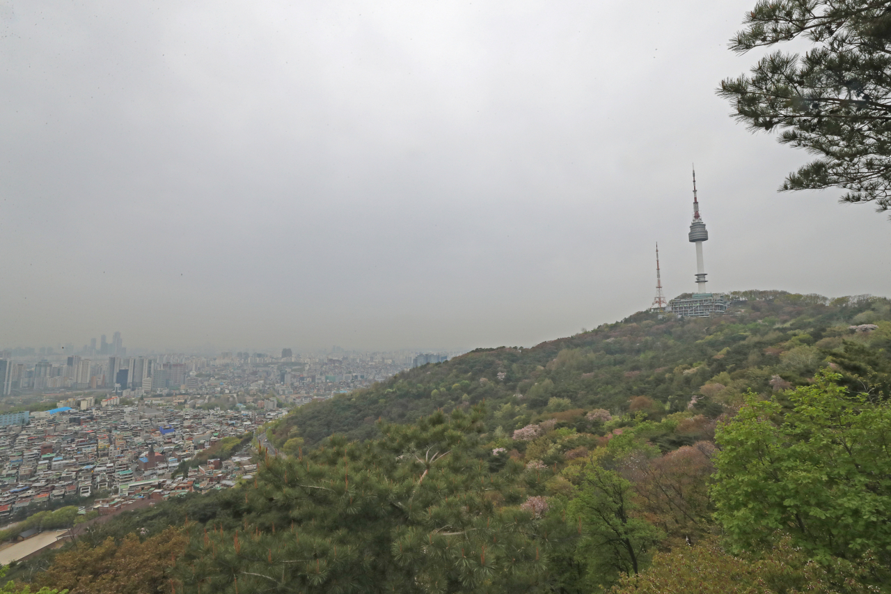 12일 오전 제주와 중서부 해안을 시작으로 비가 시작돼 오후에 전국으로 확대될 것으로 예보된 가운데 서울 남산에 봄꽃이 피어 있다.[연합]