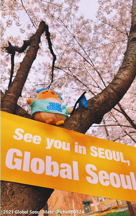 서울을 사랑하는 주한외국인 글로벌서울메이트 인프루언서들이 ‘여행이 시작되면 서울로 오라’ 현수막을 한강에 걸고는 인증샷을 찍은 뒤 SNS에 올려 고국의 친지 등에게 전했다.