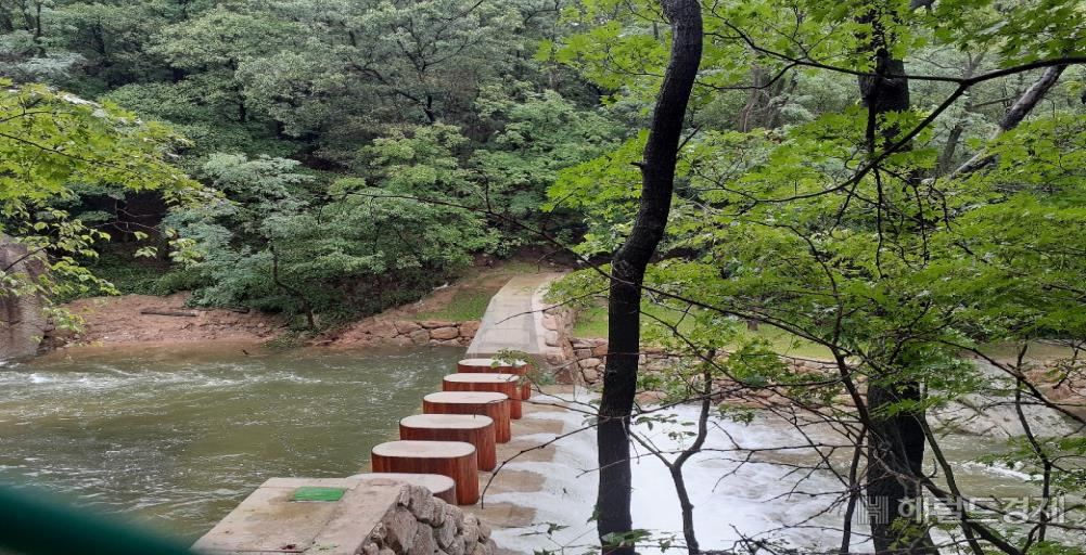 은평구 진관동 사방댐 공사 현장. [은평구 제공]