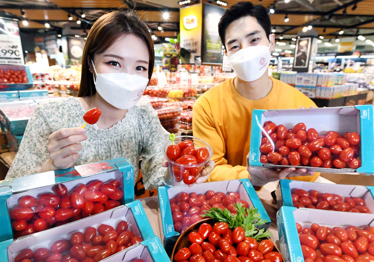 꼭지 없는 스낵토마토 [홈플러스 제공]