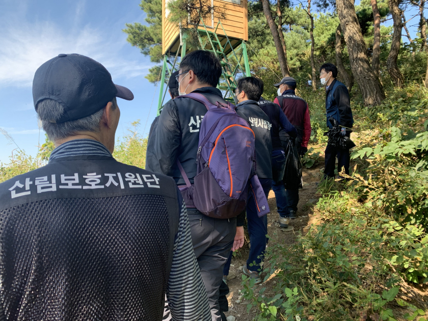산림특별사법경찰 등 사법인력이 고의적인 입목고사 행위에 대한 현장 단속을 실시 중이다