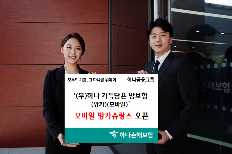[하나손보 제공]