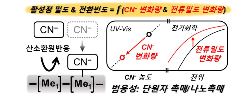 단원자 철 촉매의 활성점과 사이안화 이온의 비가역적 흡착을 이용한 촉매의 성능결정인자(활성점 밀도와 전환빈도) 도출방법의 모식도.[광주과기원 제공]