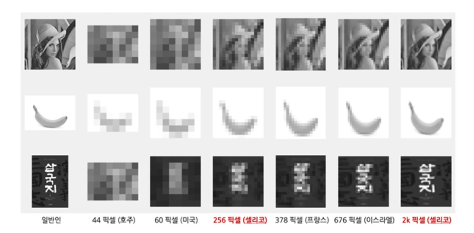 세계 전자눈 개발회사의 이미지센서칩 해상도 비교. [셀리코 제공]