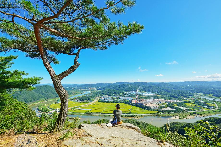 세종시 장군산에서 [출처:세종시콘텐츠허브]