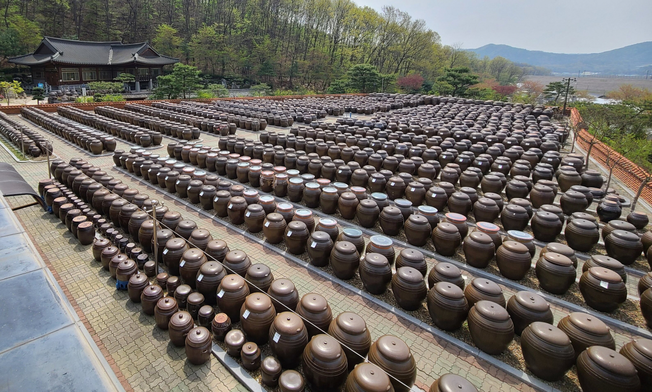 세종시 전동면 청송리 장류 항아리