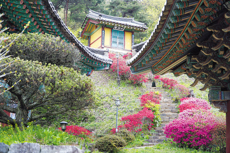 세종시 건축문화재로는 처음으로 국가지정 보물로 고시된 비암사