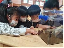 곤충 체험·관찰하기 수업 현장. [서울시 제공]