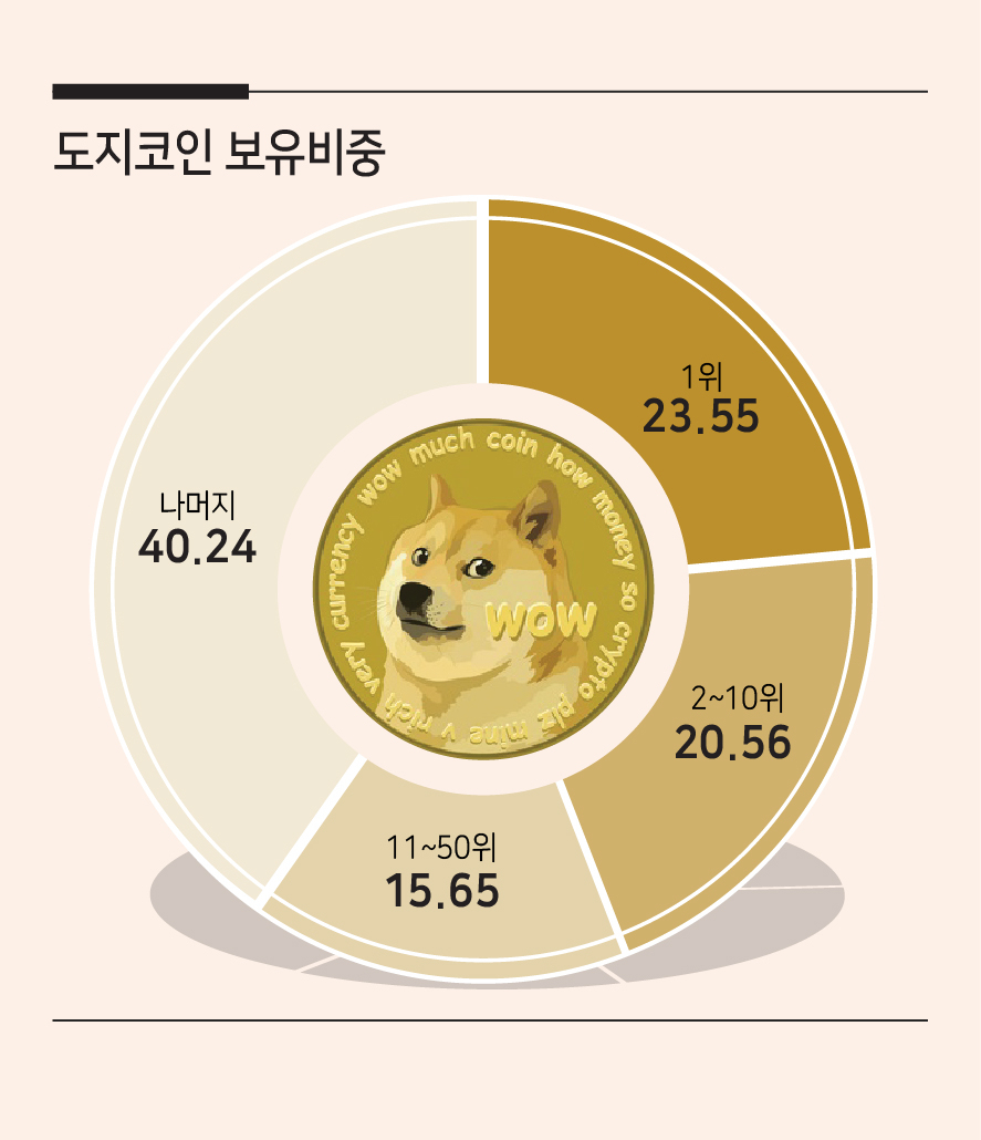 가상자산 광풍] 1명이 도지코인 전체의 4분의 1 보유…머스크(?) - 헤럴드경제