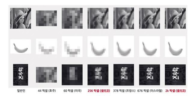 세계 전자눈 개발회사의 이미지센서칩 해상도 비교. [셀리코 제공]