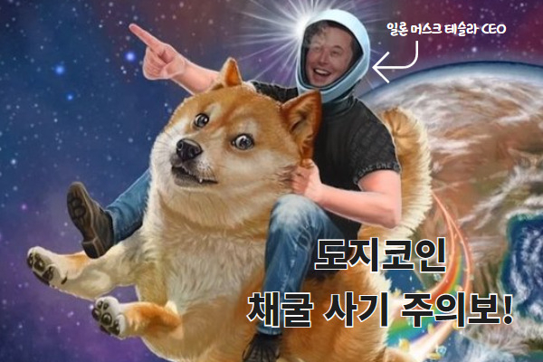 [이미지=도지코인 트위터 캡쳐]