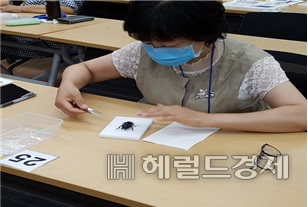 곤충산업 전문인력 양성교육 모습. [서울시 제공]