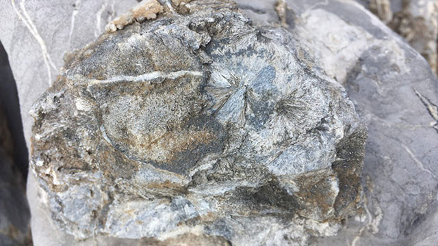 석면 조경석