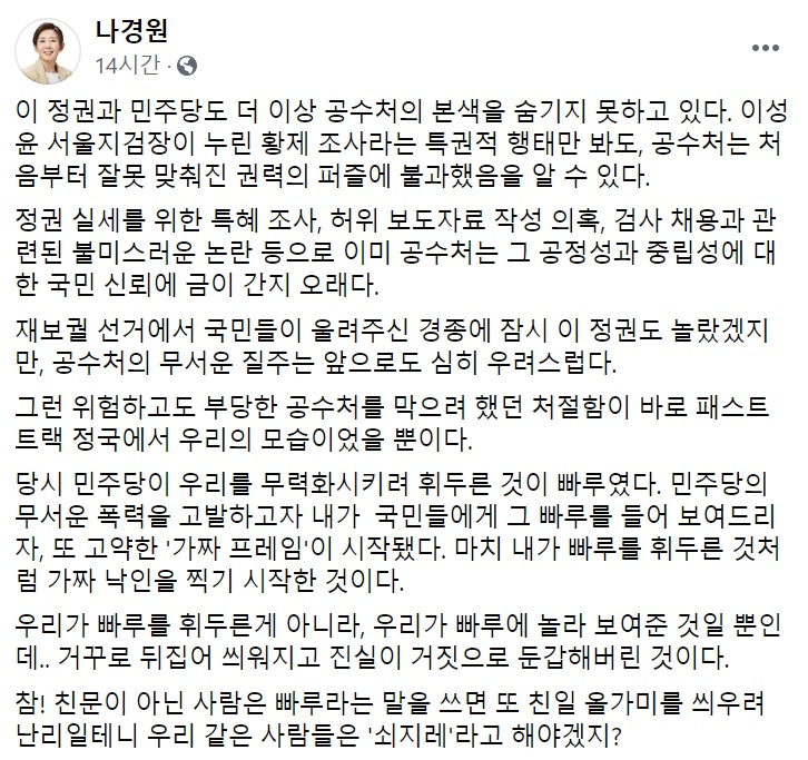 나경원 국민의힘 전 의원 페이스북 일부 캡처.