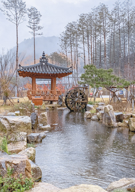 울진 금강송 에코리움 테마전시관 앞 연못.